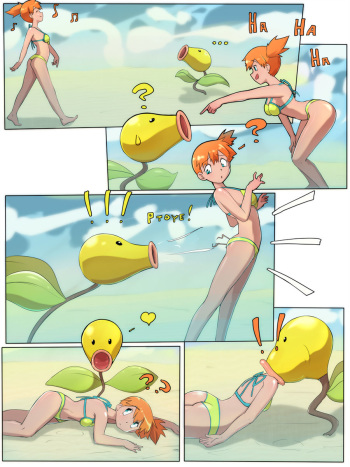 Misty's Fun cover