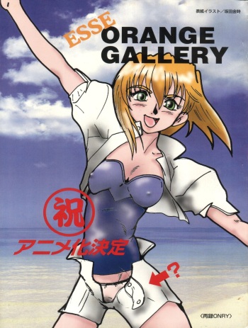 Esse Orange Gallery cover