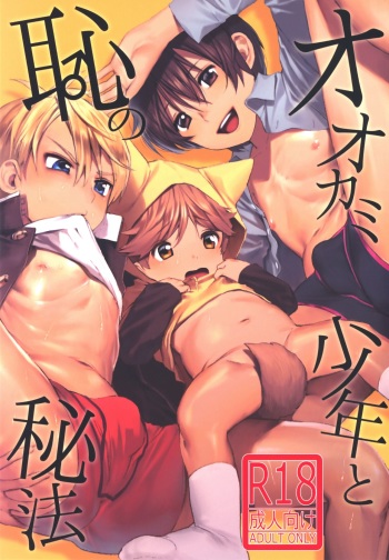 Ookami Shounen to Haji no Hihou cover