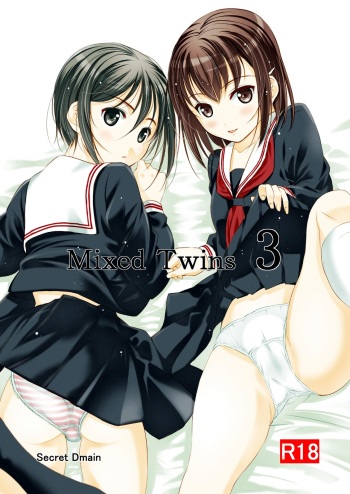 Mixed Twins 3 cover