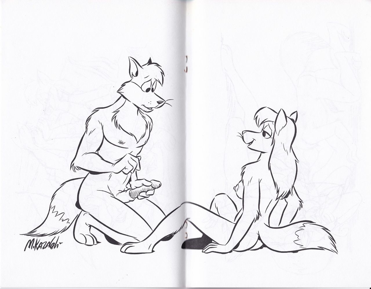 I thought you locked it page 7 full