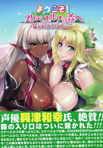 Youkoso! Sukebe Elf no Mori e Visual Fanbook cover