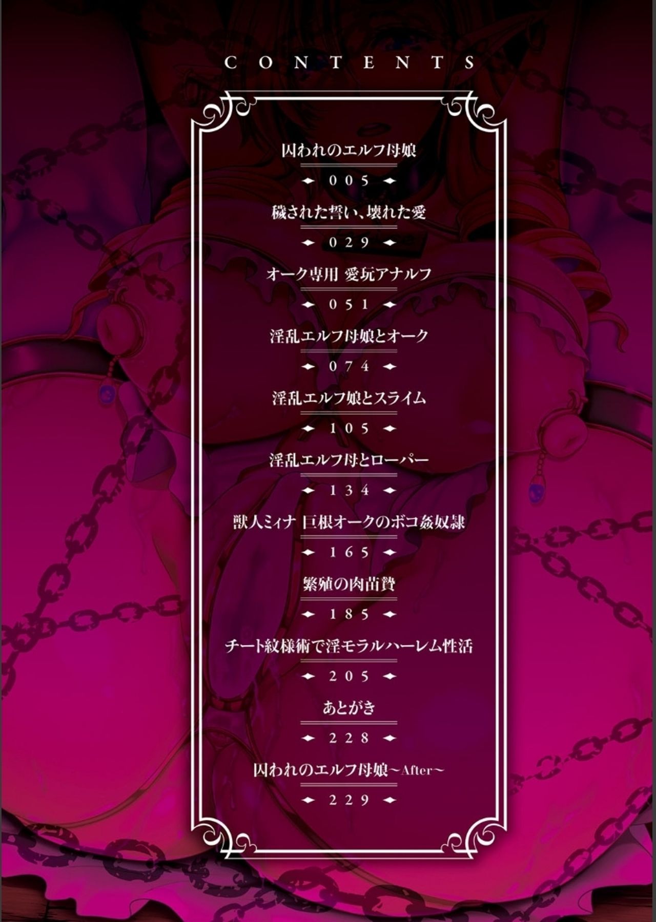 Aijou no Injoku Elf page 3 full