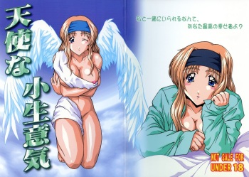 Tenshi na Konamaiki Kanzenban cover