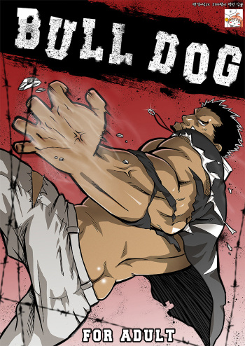 BULL DOG cover