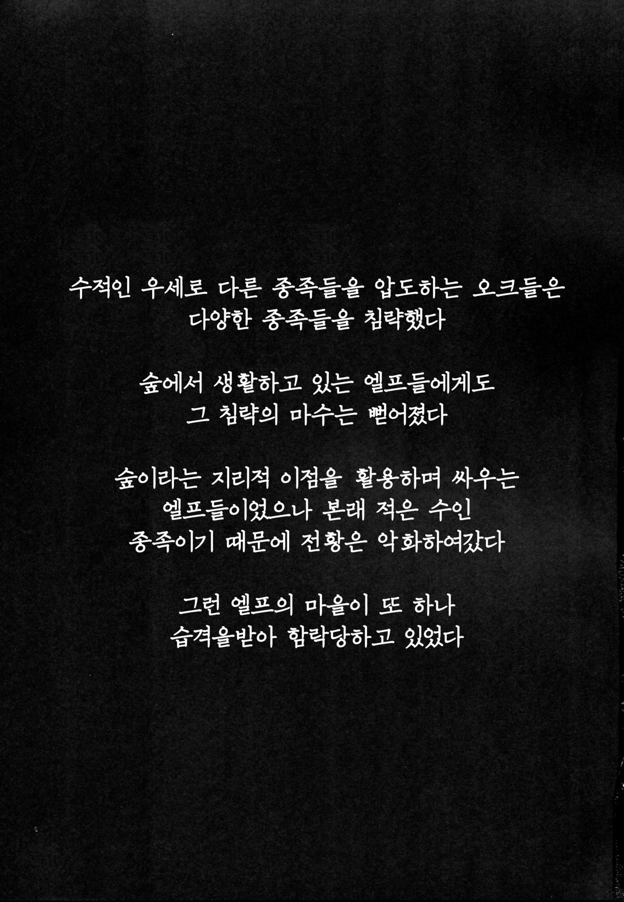 Orc ni Torawareta Elf wa | 오크에게 붙잡힌 엘프는 page 3 full