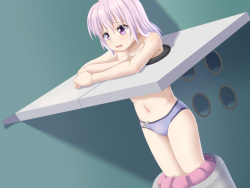 Chikan Taikenki