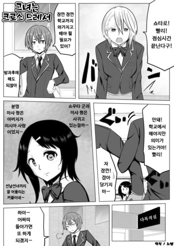 Kanojo wa Crossdresser cover