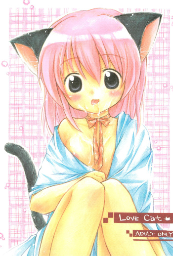 Love Cat cover