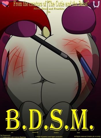 B.D.S.M cover