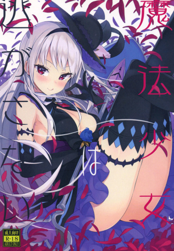 Mahou Shoujo wa Nigasanai cover