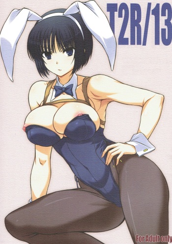 T2R/13 cover
