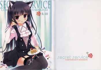 Secret Service cover