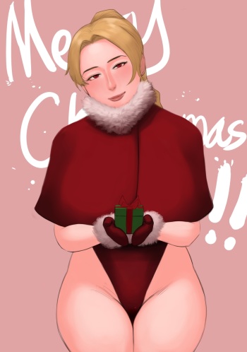 Merry Christmas cover