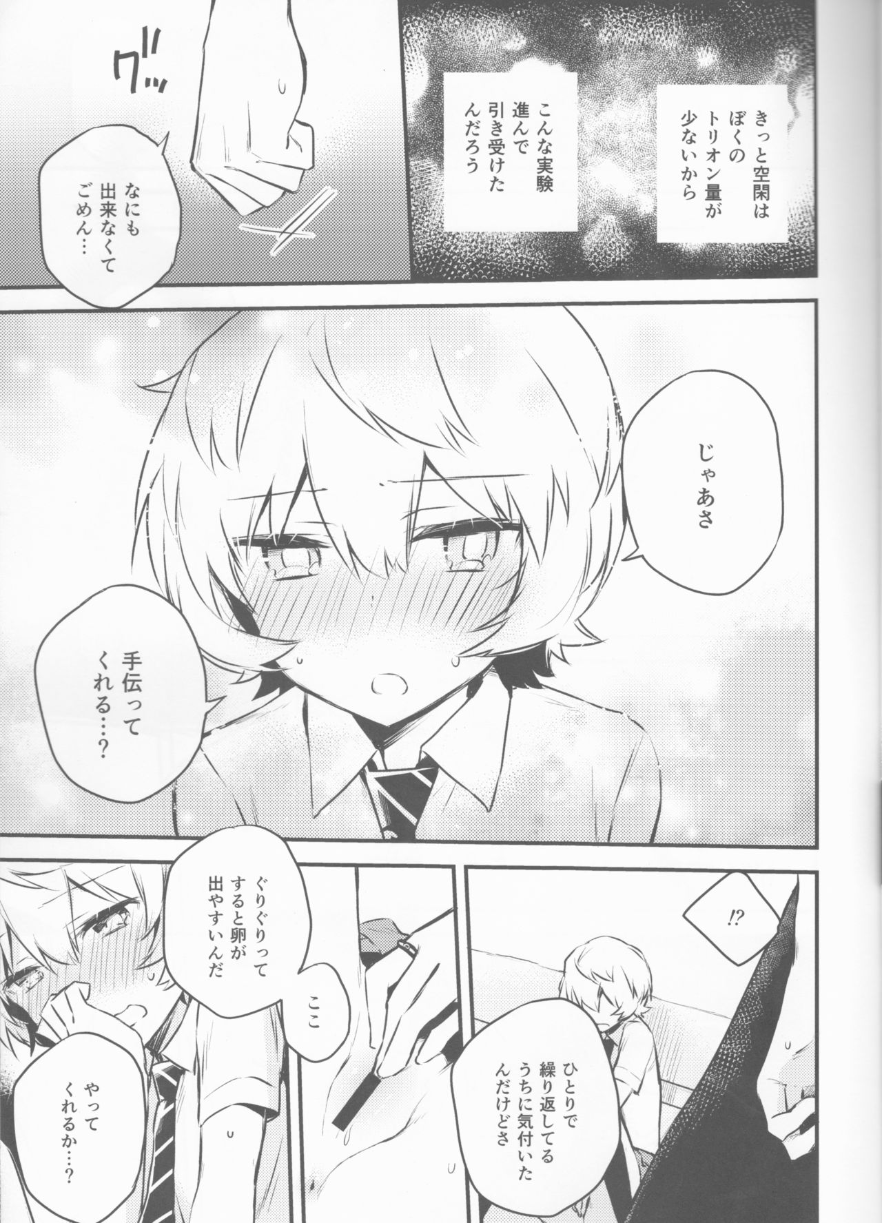 Trion Hokyuu System Jikken Kiroku page 10 full