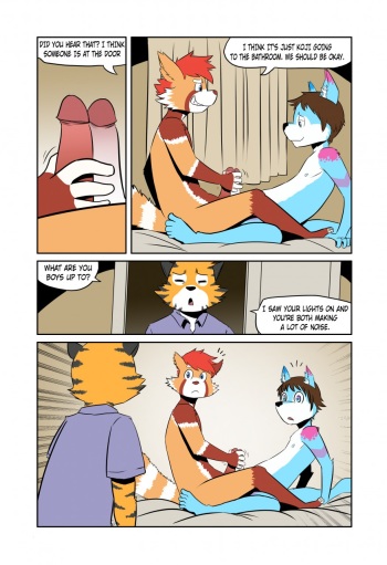 The Sleep Over cover