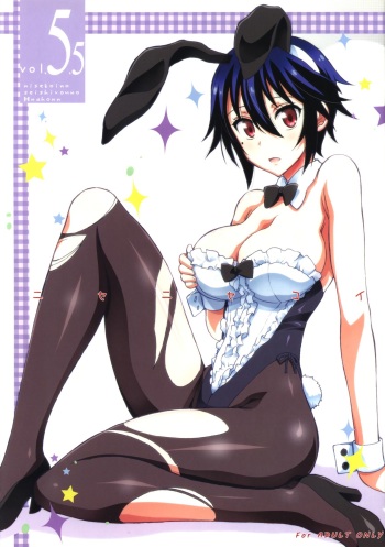 Nisenisekoi 5.5 cover