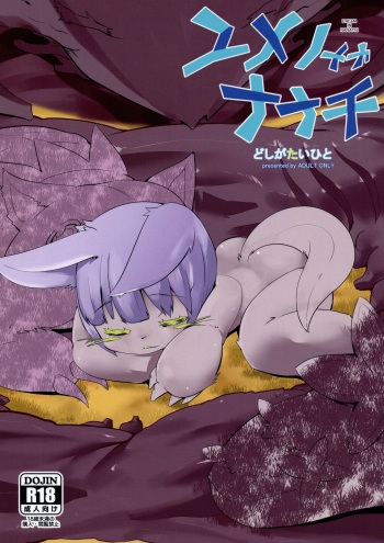 Yume no Naka Nanachi cover