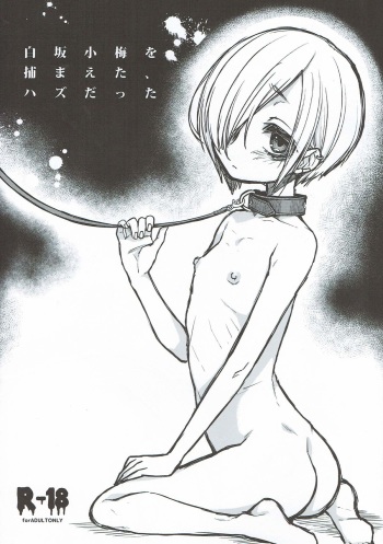 Shirasaka Koume o Tsukamaeta, Hazu Datta cover