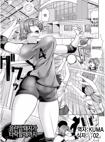 Inran Mesubuta ga Ochiru made cover