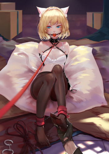 yi cat cover