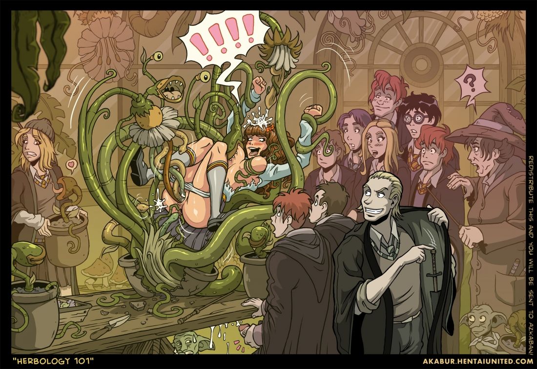 Harry-Potter Parody page 1 full