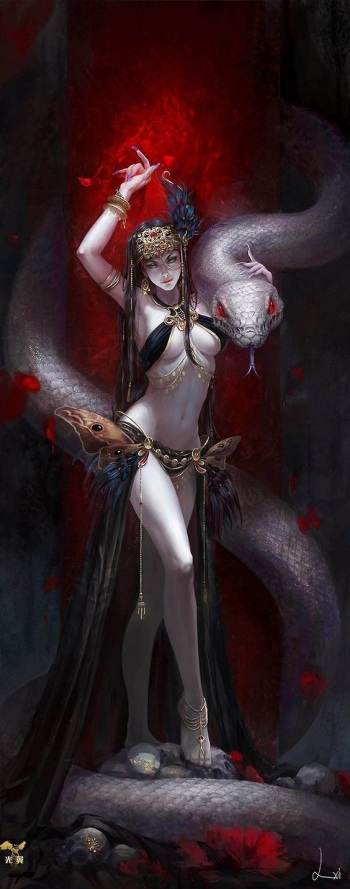 Midriffs Collection cover