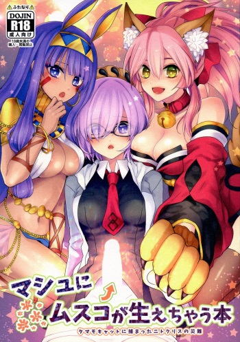 Mash ni Musuko ga haechau Hon cover