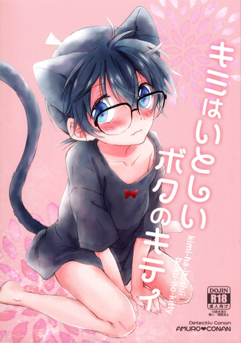 Kimi wa Kawaii Boku no Kitty cover
