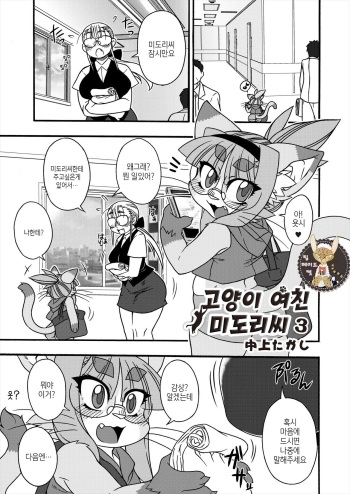 Neko Kano no Midori-san 3 | 고양이 여친 미도리씨 3 cover
