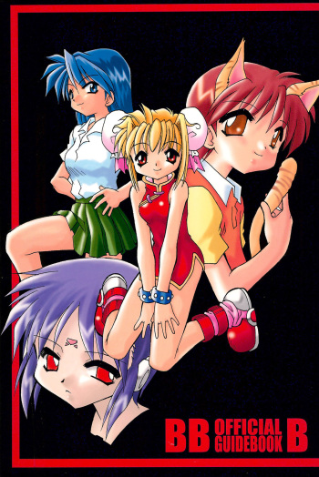 BBB OFFICIAL GUIDE BOOK cover