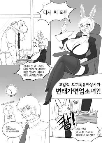 토끼상사 망가 cover