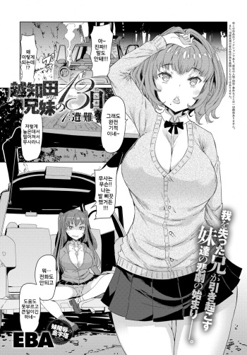 Ochita Kyodai no 13-nichi cover