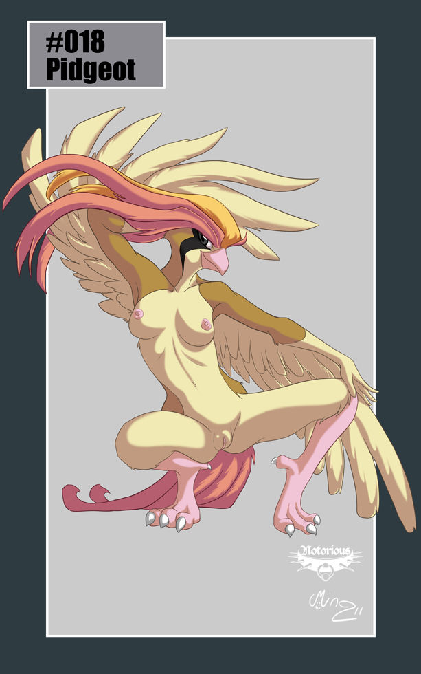 Pokedex Project page 7 full