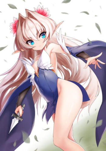 Ehart cover