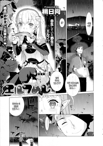 Elf Meshi cover