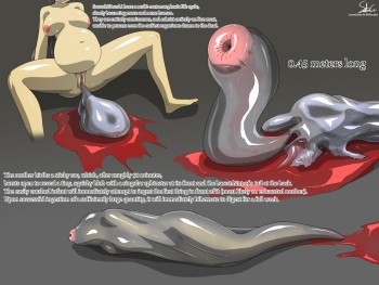 Succubus cover