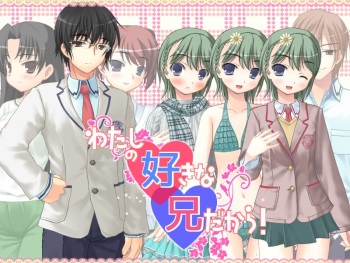 Watashi no Suki na Ani Dakara! cover
