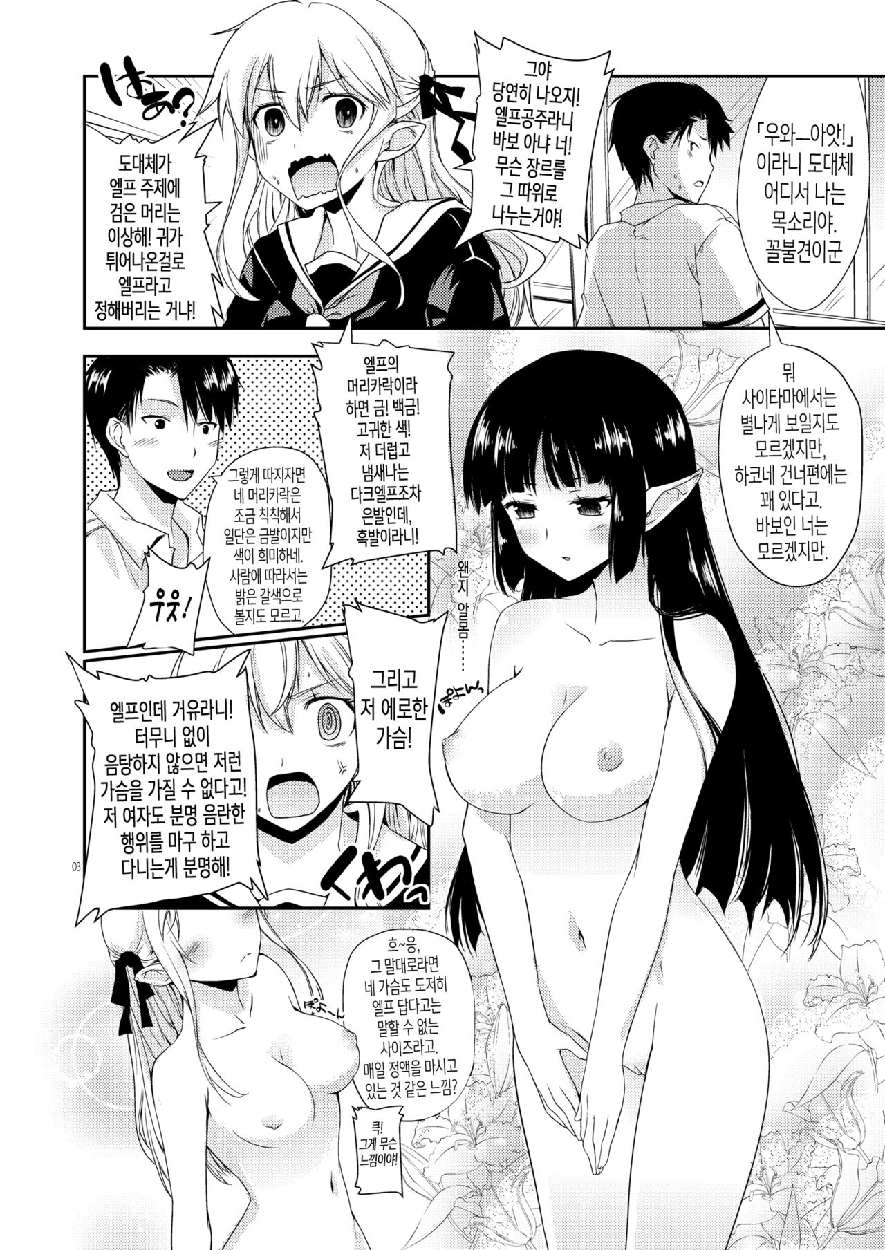 Elf tte iu no wa! | 엘프라는 것은! page 4 full