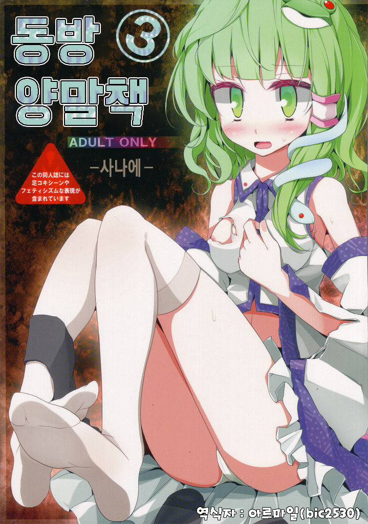 Touhou Kutsushita Bon 3 -Sanae- | 동방 양말책 3 -사나에- page 1 full