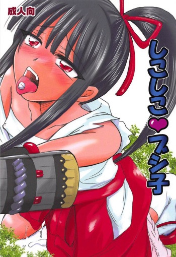 Shikoshiko Bushiko cover