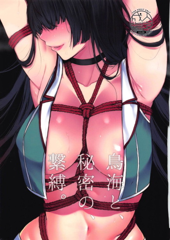 Choukai to, Himitsu no, Keibaku. cover