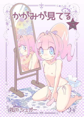 Kagami ga Miteru cover