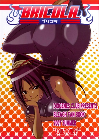 BRICOLA cover