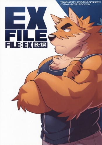 File:EX cover