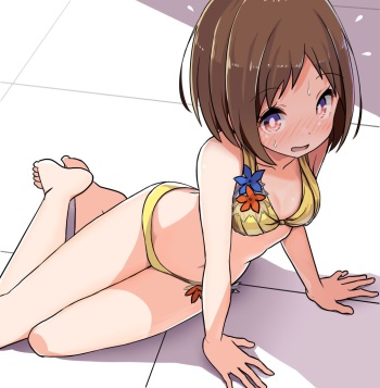 しぴー cover