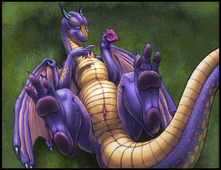 dragons females