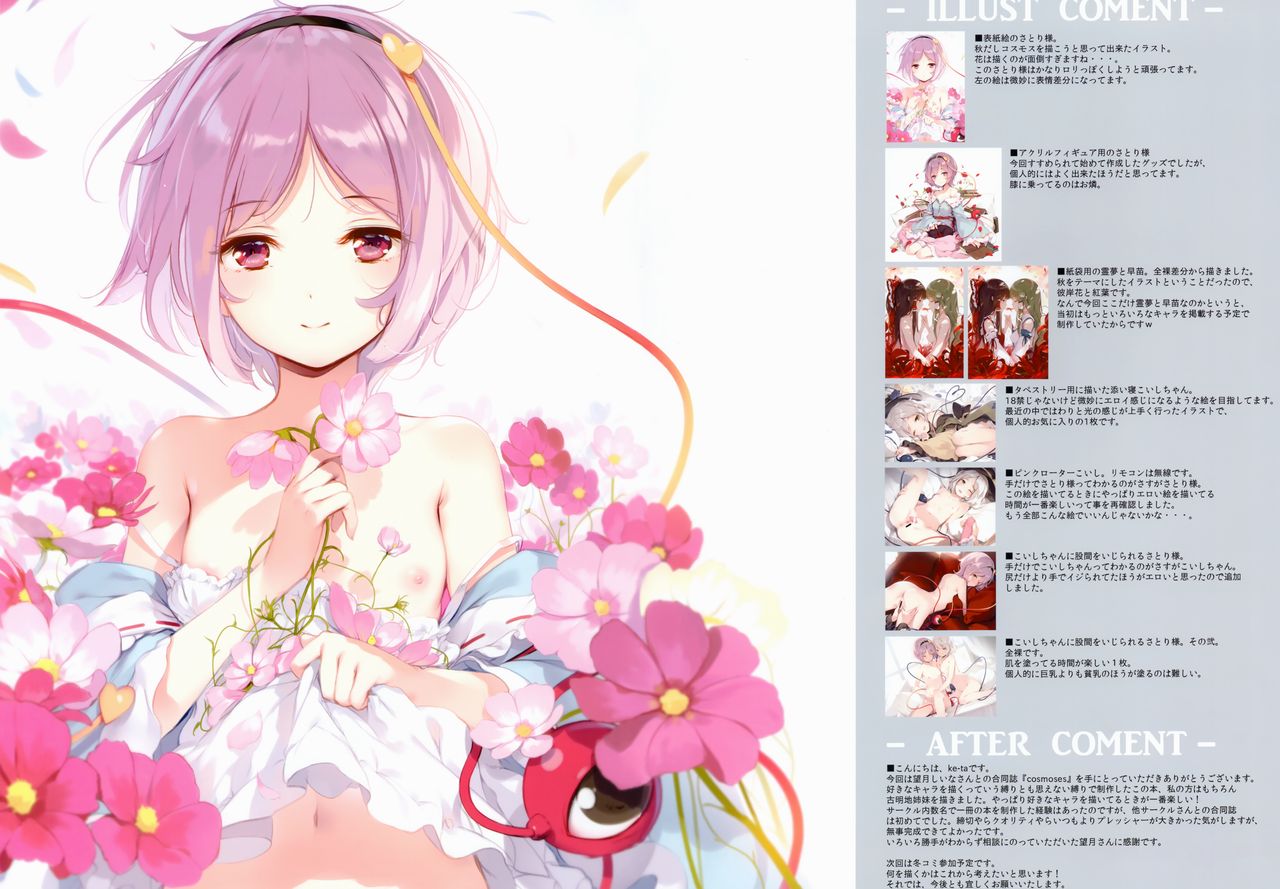 COSMOSES page 9 full