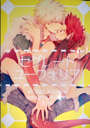 Segregated Euphoria cover