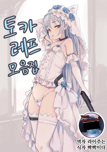TT-33_matome+G11 omake cover